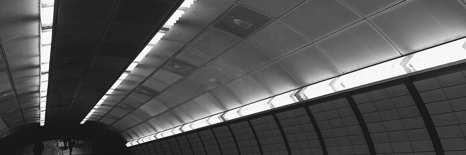 Vividlrios's profile banner image