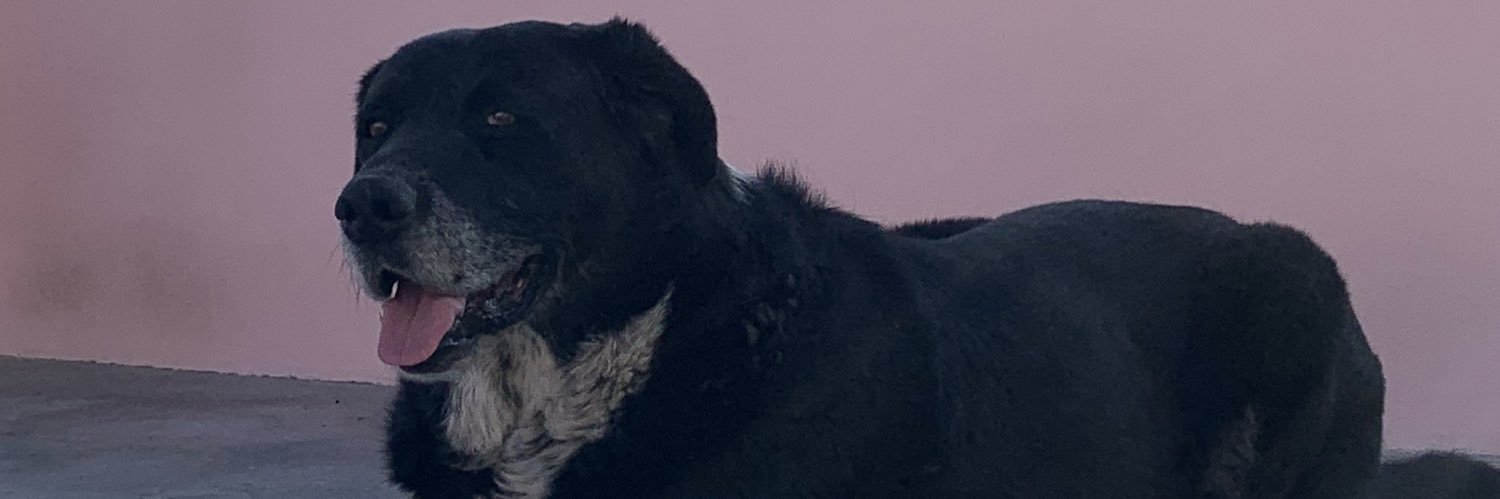 itsheidy06's profile banner image