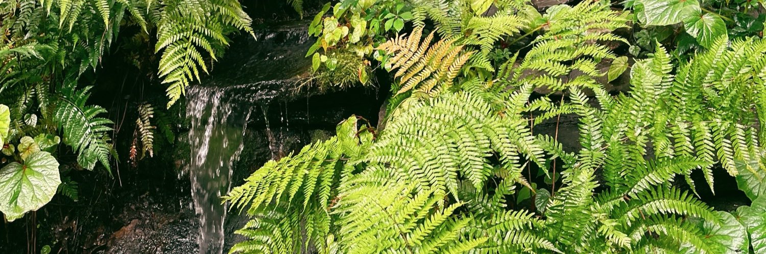 HannaLogsdon's profile banner image