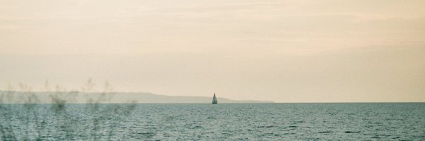 OW_Root Profile Banner