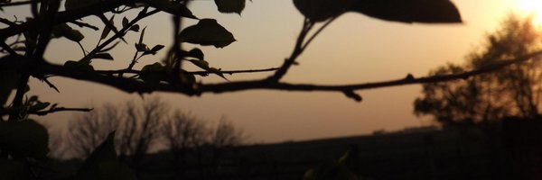 eolsonteacher Profile Banner