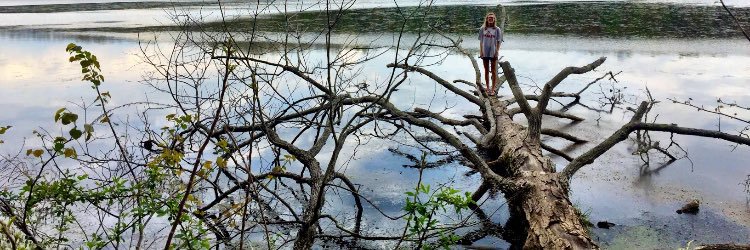 emilyyoglee's profile banner image