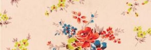 AmandaSeyfried Profile Banner