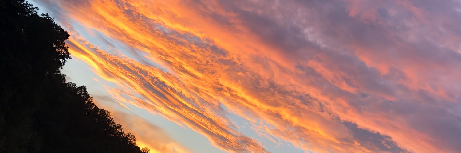 whaleynw's profile banner image