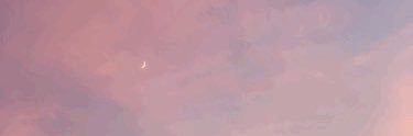 staceya__'s profile banner image