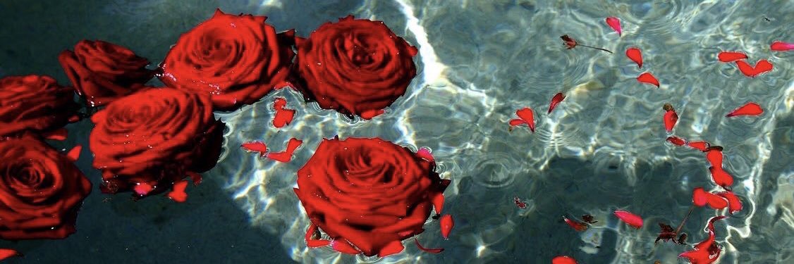 kaylaharnae's profile banner image