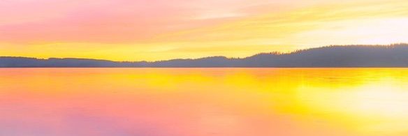 Golden Elohim banner