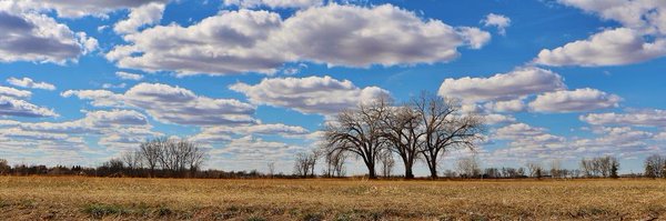 LaoneHuman Profile Banner