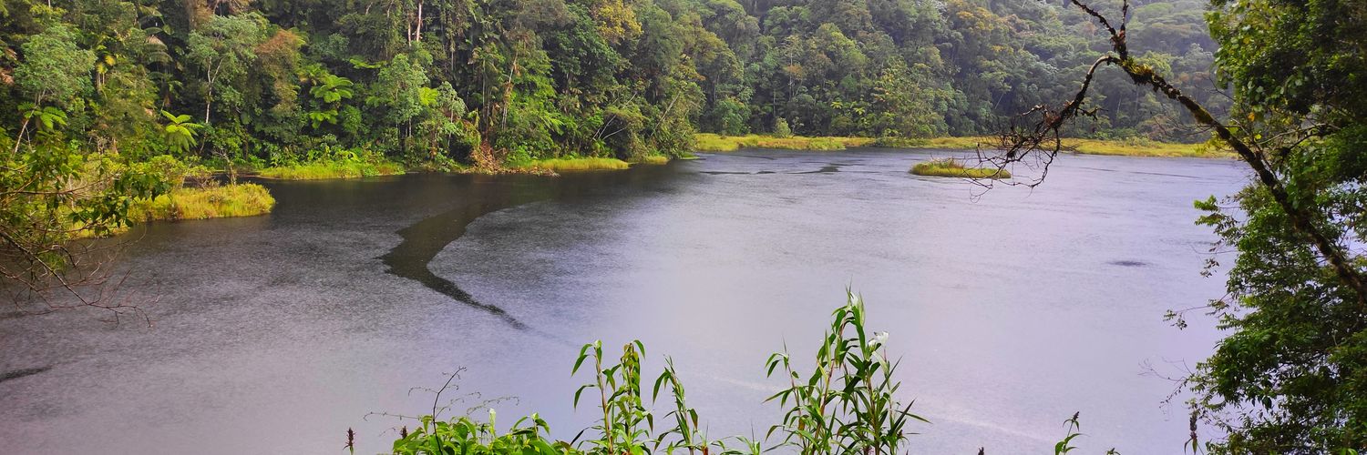 Sergio Sánchez 🇻🇪🇺🇦🇵🇸 banner
