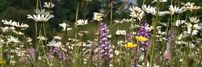 Leeds Climate Emergency banner