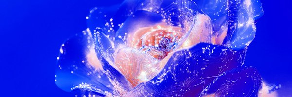 OasisProtocol Profile Banner