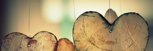 Danielle cuccia banner