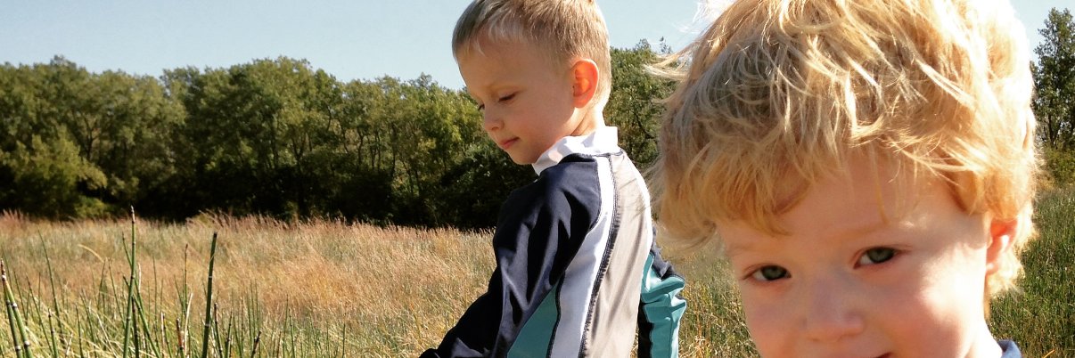 Ed Sivillo III banner