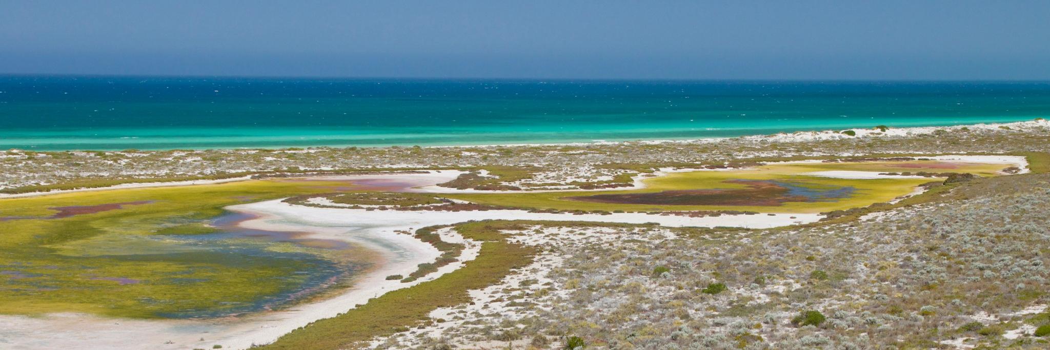 Biodiversity and Conservation Science banner