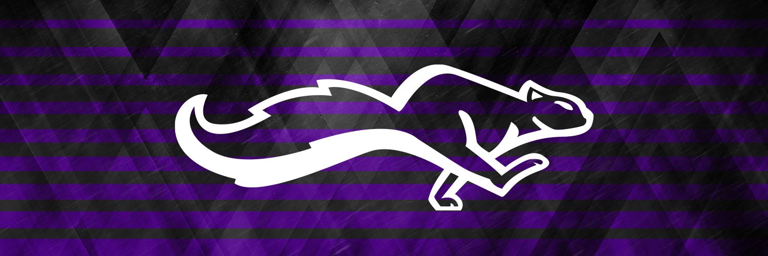 TNU Thrashers banner