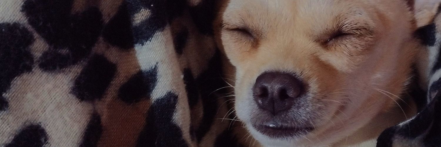 Ferrmirannnd's profile banner image