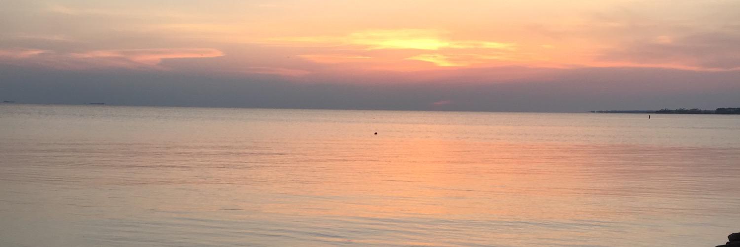 h_newman18's profile banner image