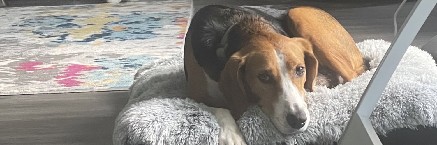 JusDee ✨💫 banner