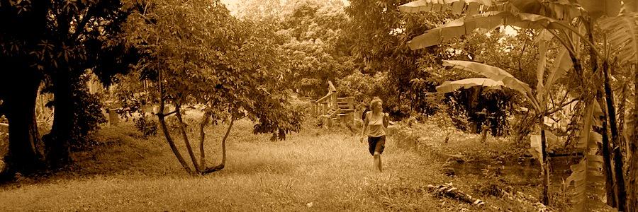 TracyShorrock's profile banner image
