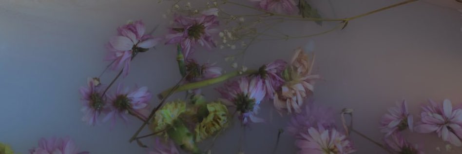 AnaleCalderon's profile banner image