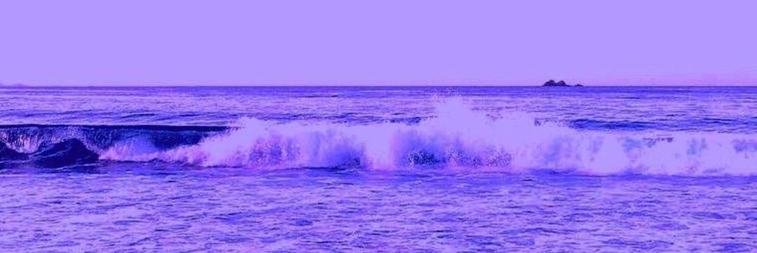 cecy_sandoval's profile banner image