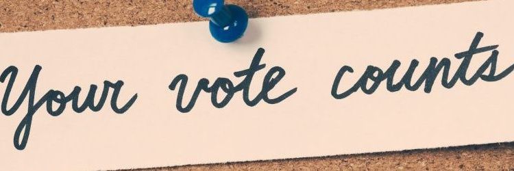 Will My Vote Count? banner