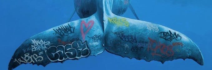 ccsurbanitas's profile banner image