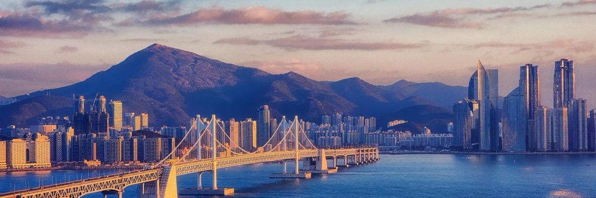VaneTweety's profile banner image