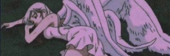 𓆩❤︎𓆪 banner