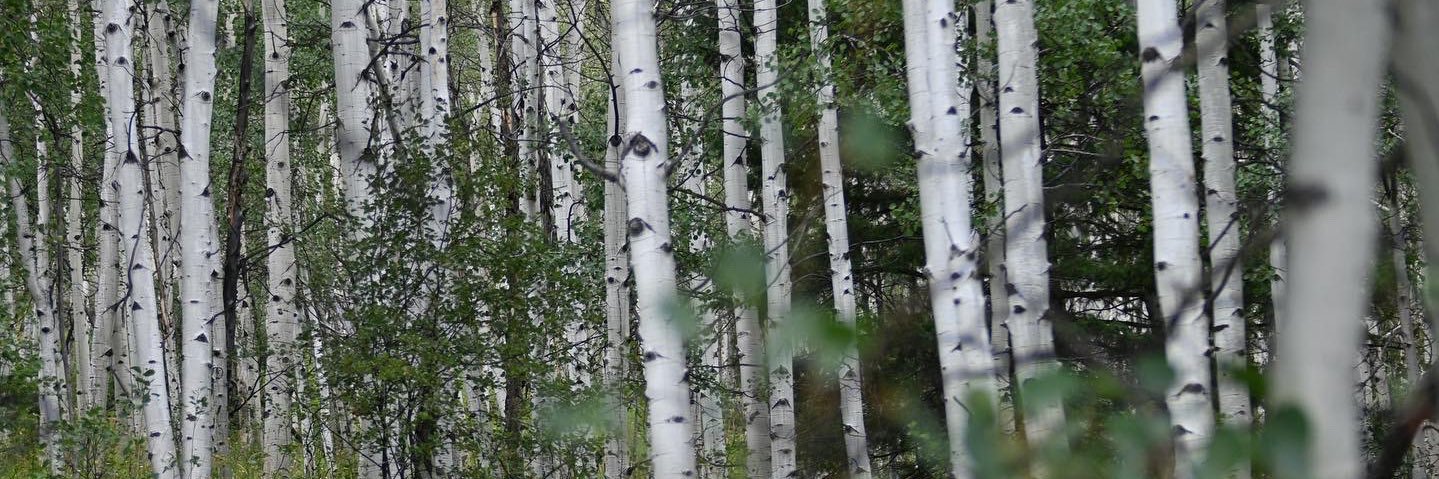 ሰው, человек, شَخْص banner