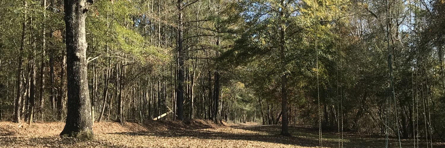 Wood Ox 4 🐂 banner