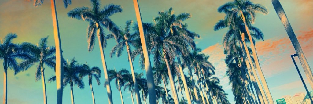 theterihess's profile banner image