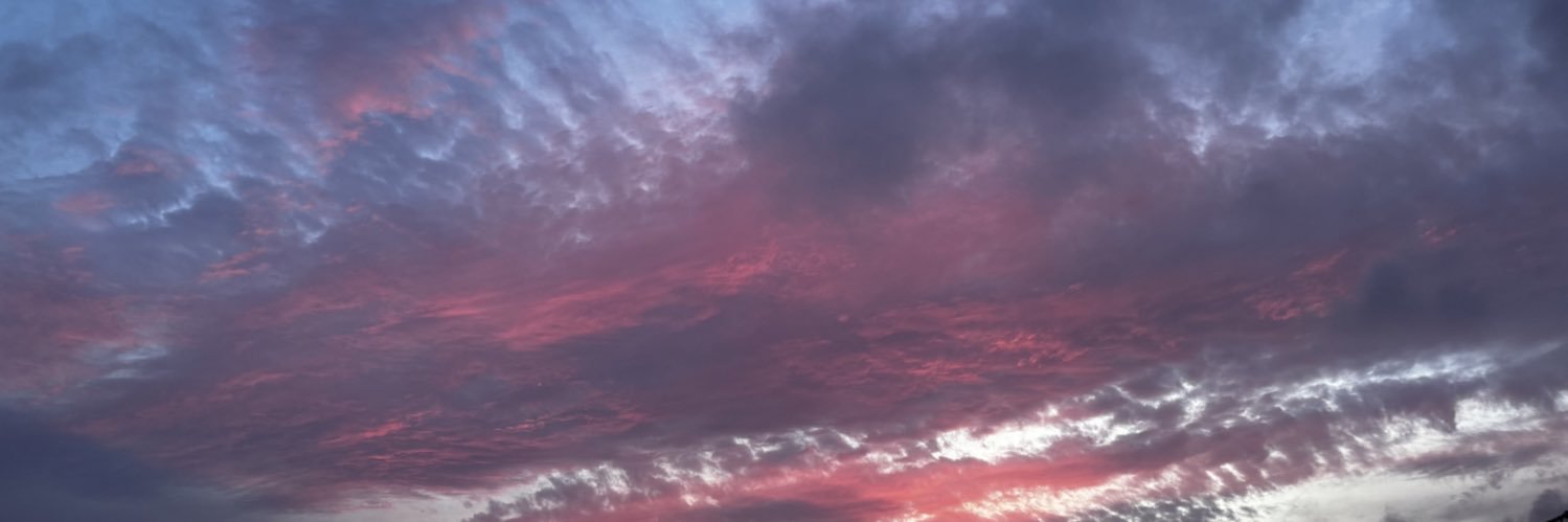 fumika❁⃘*.ﾟ banner