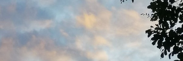 ormmormm Profile Banner