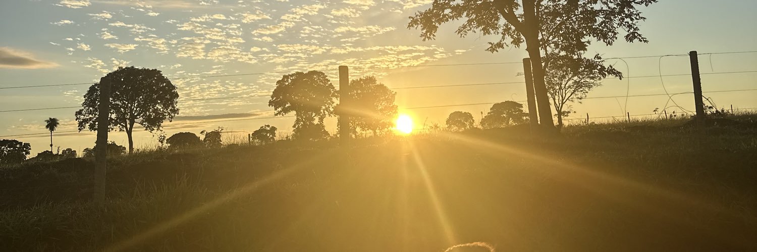 Leandroosouto's profile banner image