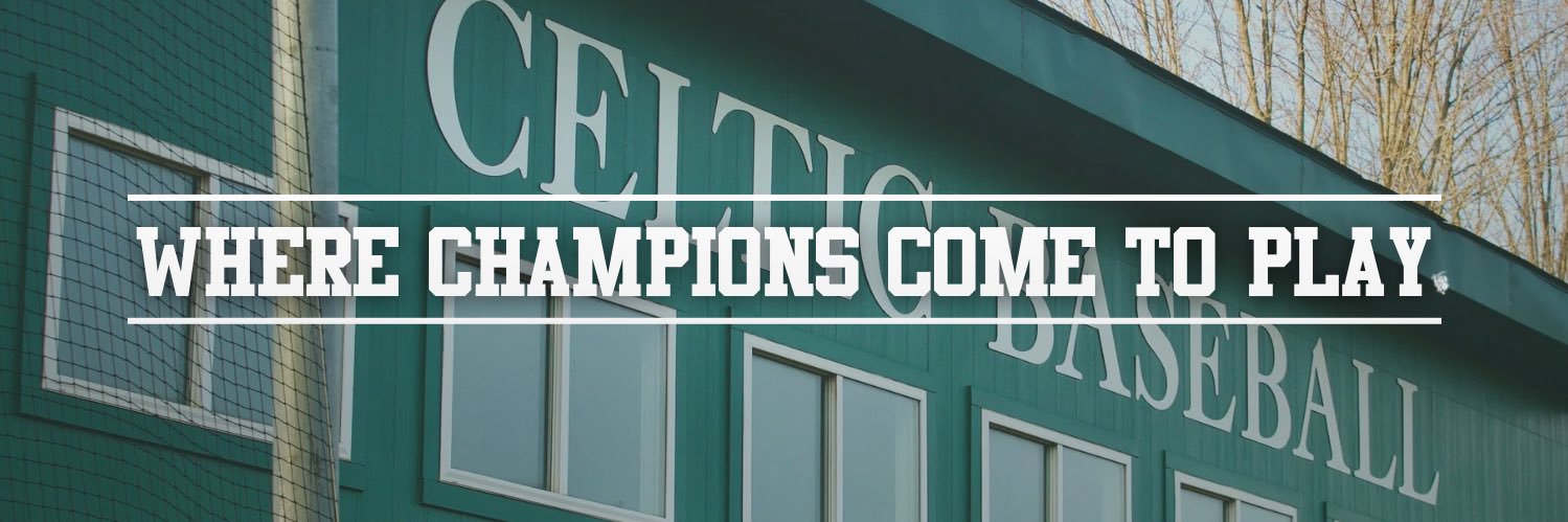 Providence Catholic Baseball banner