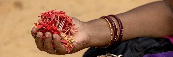 vikalpavoices Profile Banner