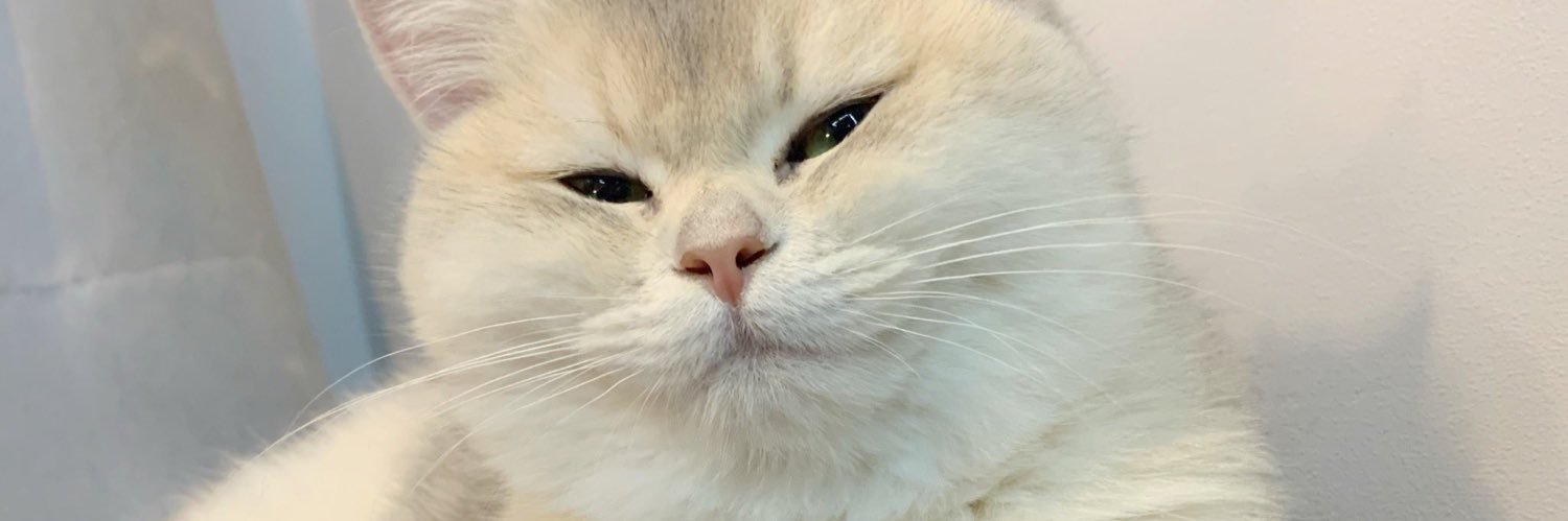 . banner