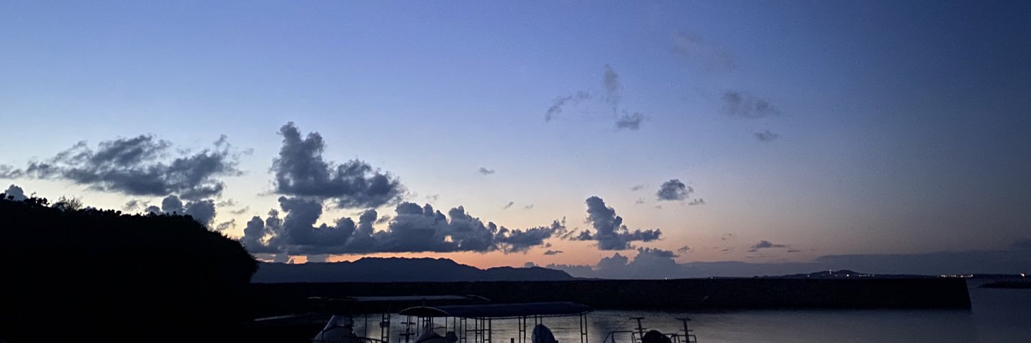 マンダリン🇯🇵南の島で疎開暮らし banner