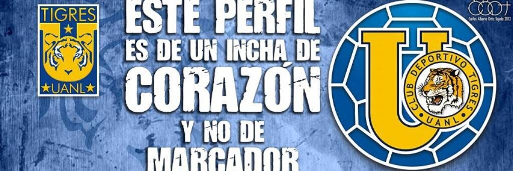 fidelgzz's profile banner image