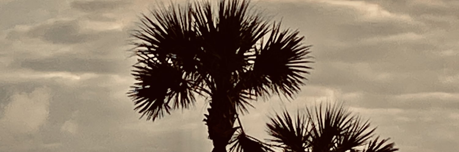 1beau_davis's profile banner image