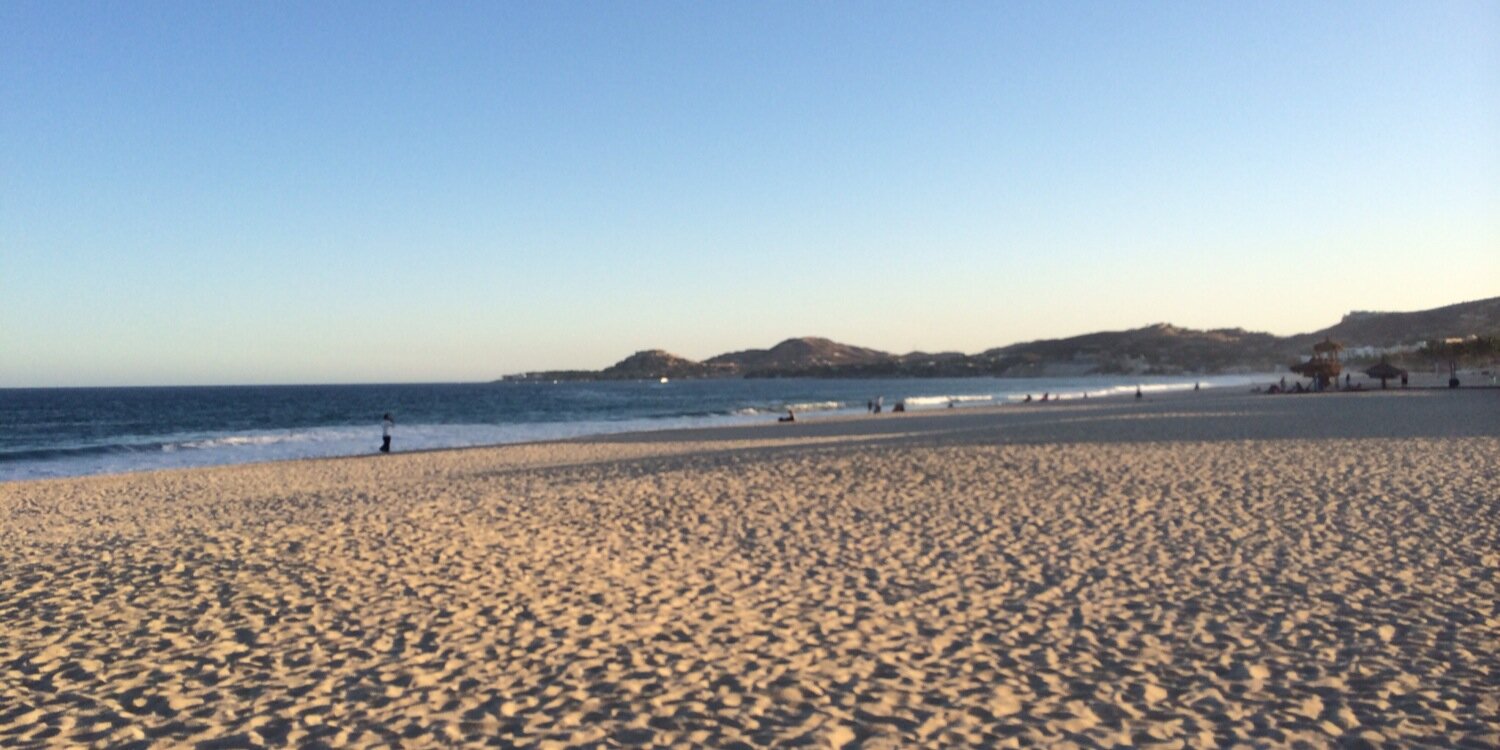 Areli Malagon banner