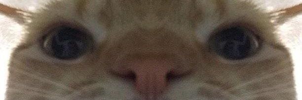 MouadGhd2's profile banner image