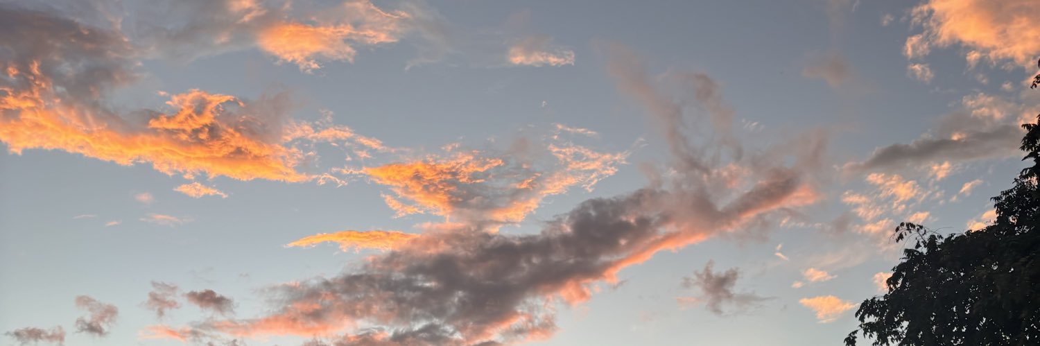 oscarfldz's profile banner image
