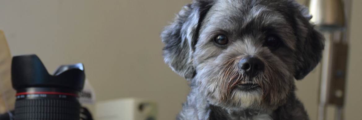 pacita3's profile banner image