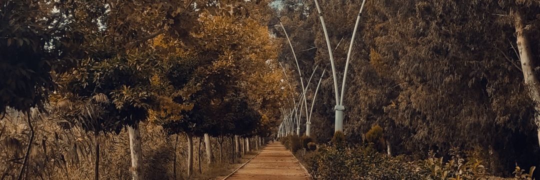 Taylan Adanalı banner