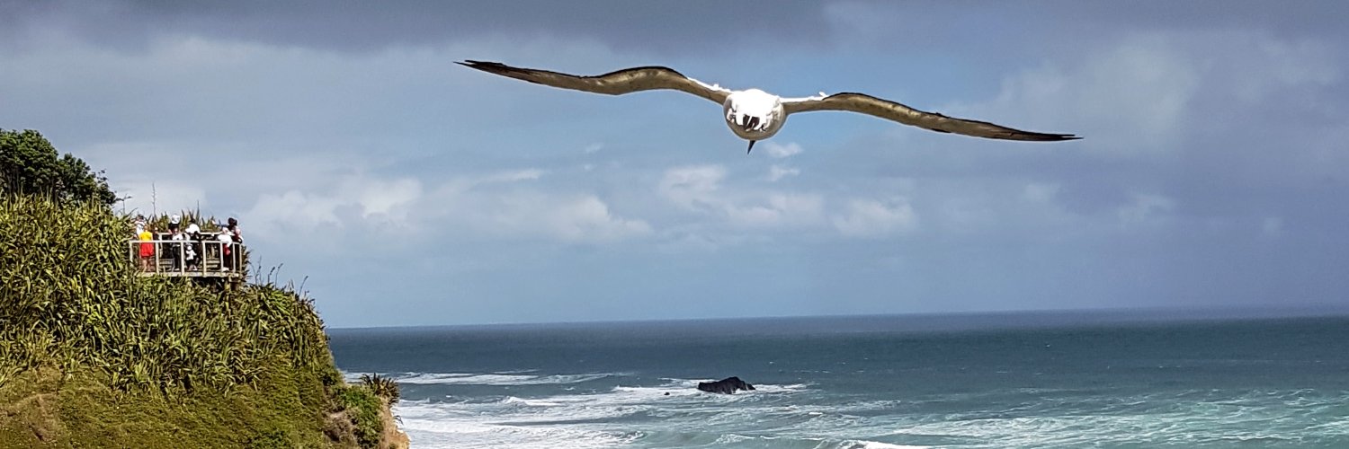 QydAvery's profile banner image
