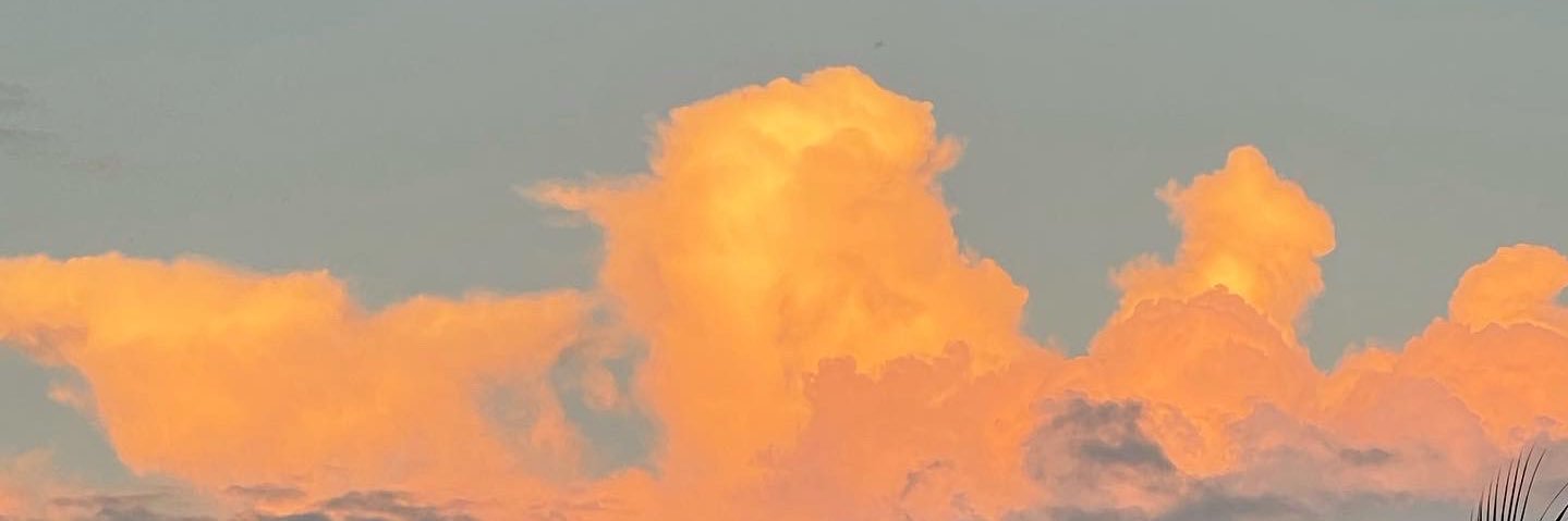 jellybeen_'s profile banner image