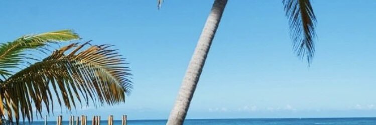 clatruvs's profile banner image
