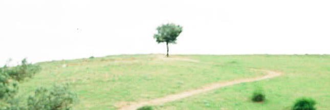 kadusava's profile banner image